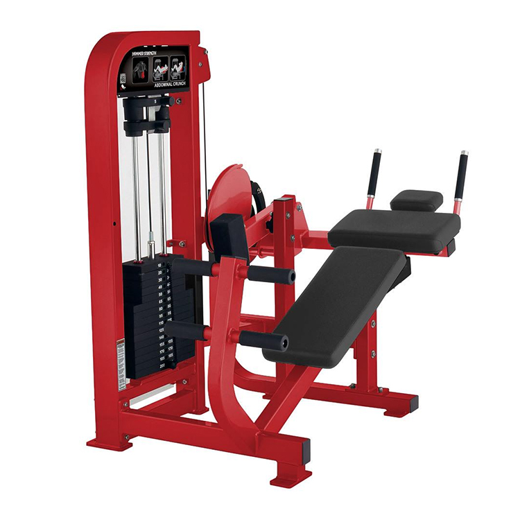 Horizontale Bauchmuskeln